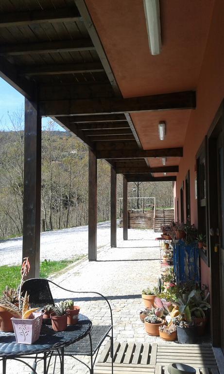 מלון Marco de Canavezes Eco Camping Juncal מראה חיצוני תמונה