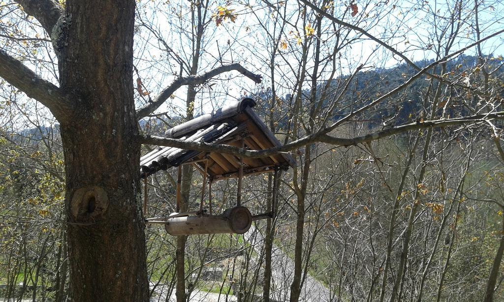 מלון Marco de Canavezes Eco Camping Juncal מראה חיצוני תמונה