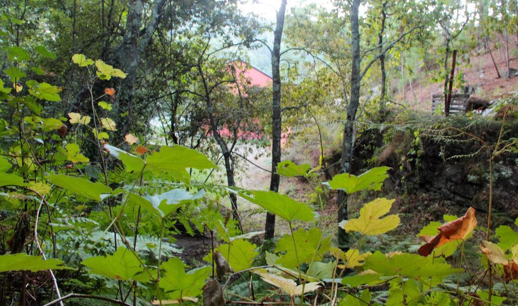 מלון Marco de Canavezes Eco Camping Juncal מראה חיצוני תמונה